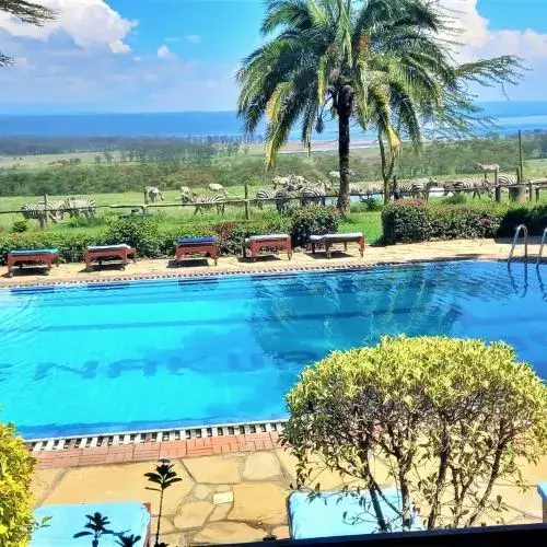 Lake Nakuru Sopa Lodge swimming pool and animals zebras in background