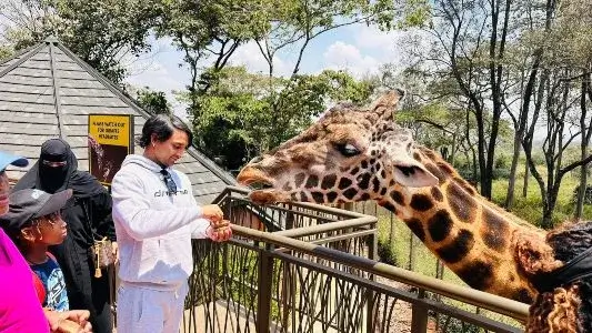 Mark Davis testimonial of our Kenya safaris