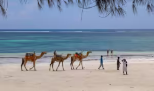 things to do in Kenya other than safari