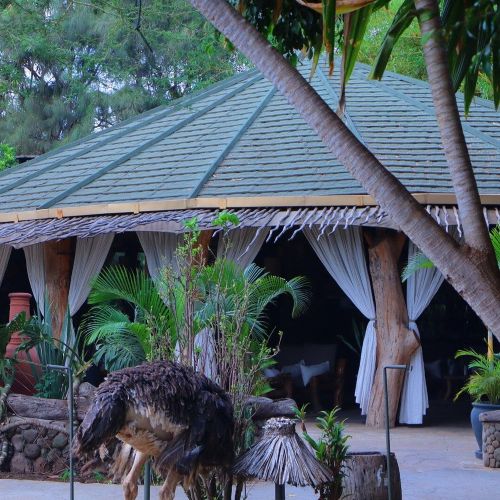 Kibo Safari Camp in Amboseli