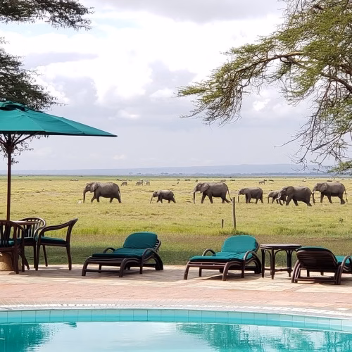 Ol Tukai Lodge in Amboseli with elephants walking by the pool