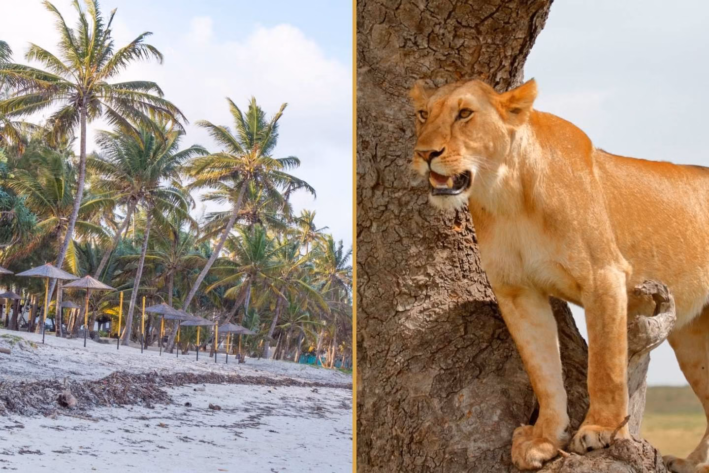 Diani versus Mombasa after a kenya safari